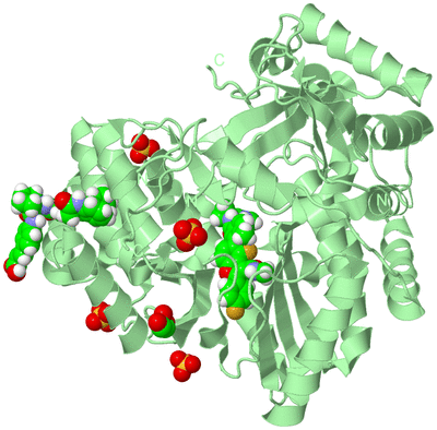 Image Biological Unit 2