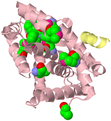 Image Biological Unit 2