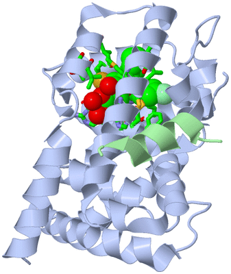 Image Biol. Unit 1 - sites