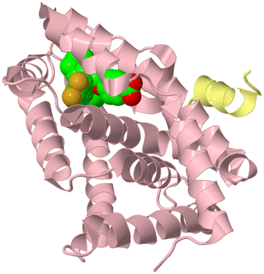 Image Biological Unit 2