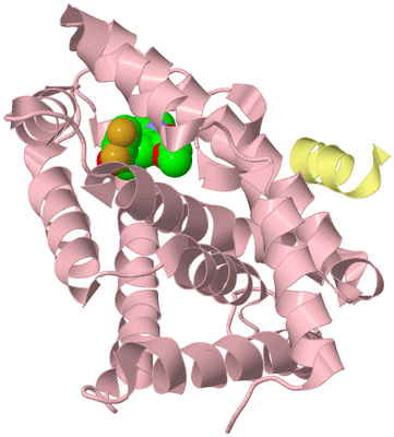 Image Biological Unit 2