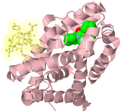 Image Biological Unit 2