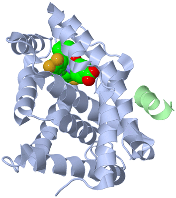 Image Biological Unit 1