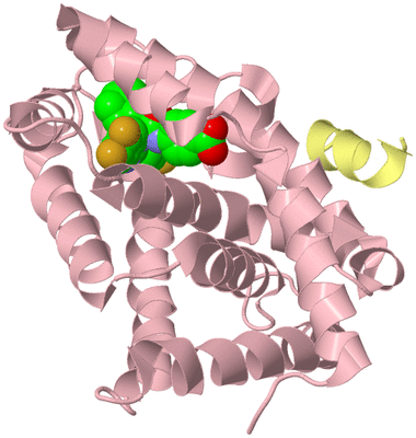 Image Biological Unit 2