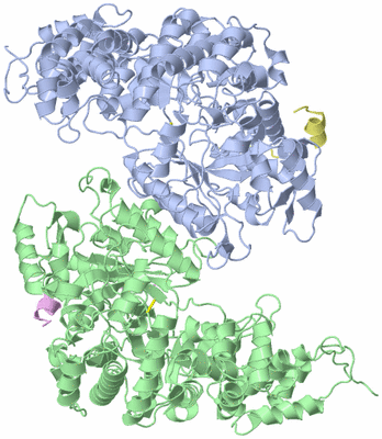 Image Biological Unit 10