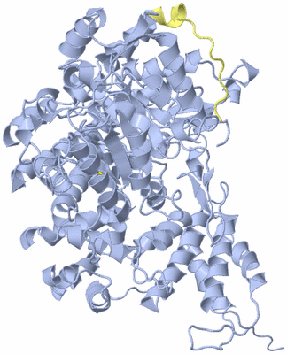 Image Biological Unit 12