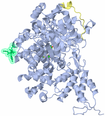 Image Biol. Unit 1 - sites