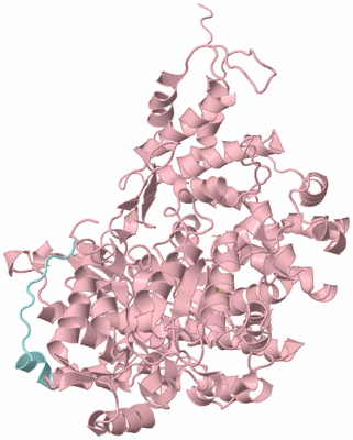 Image Biological Unit 3