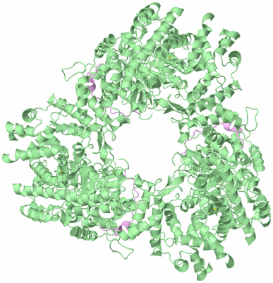 Image Biological Unit 6