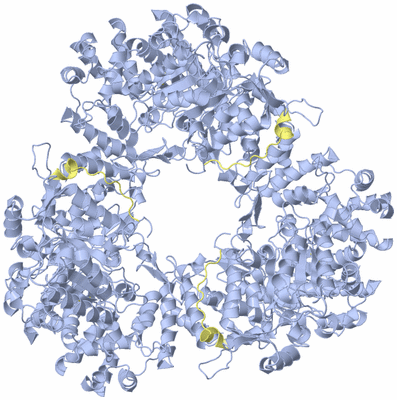 Image Biological Unit 7