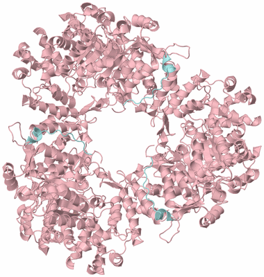 Image Biological Unit 8