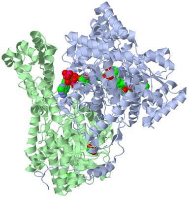 Image Biological Unit 1