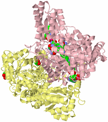 Image Biological Unit 2