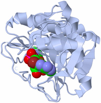 Image Biological Unit 1