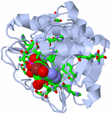 Image Biol. Unit 1 - sites