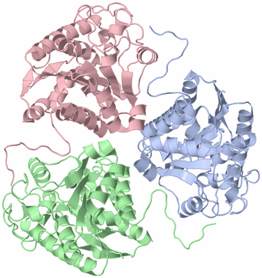 Image Asym./Biol. Unit