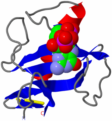 Image Asym./Biol. Unit