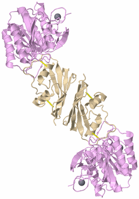 Image Biological Unit 1