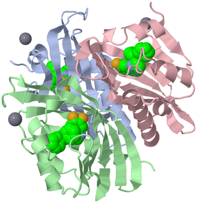 Image Biological Unit 1
