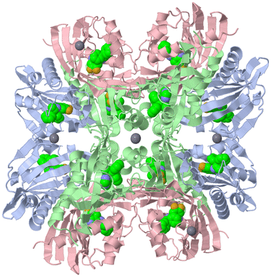 Image Biological Unit 2