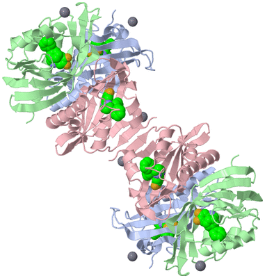 Image Biological Unit 3