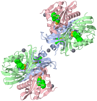 Image Biological Unit 4