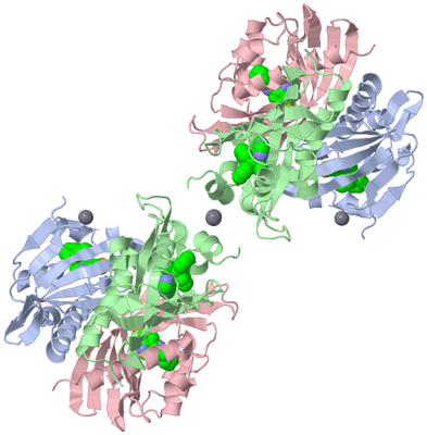 Image Biological Unit 5