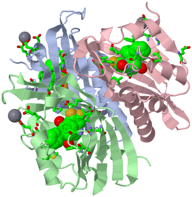 Image Asym. Unit - sites