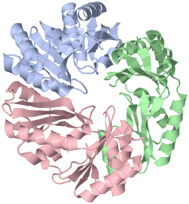 Image Asymmetric Unit