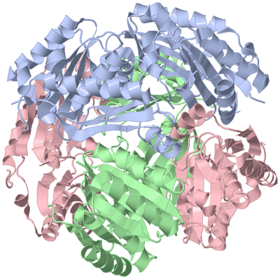 Image Biological Unit 1