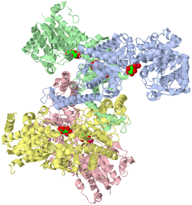 Image Asym./Biol. Unit