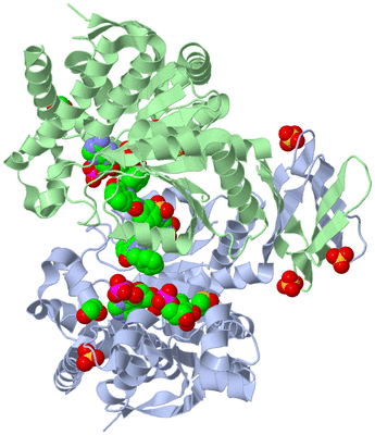 Image Asym./Biol. Unit