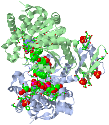 Image Asym./Biol. Unit - sites