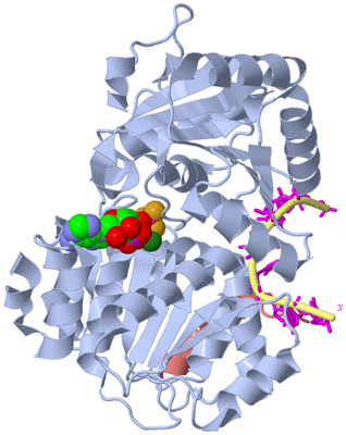 Image Biological Unit 1