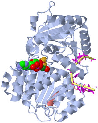 Image Biol. Unit 1 - sites