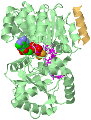 Image Biological Unit 2