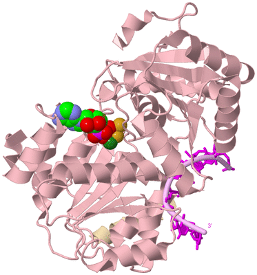 Image Biological Unit 3