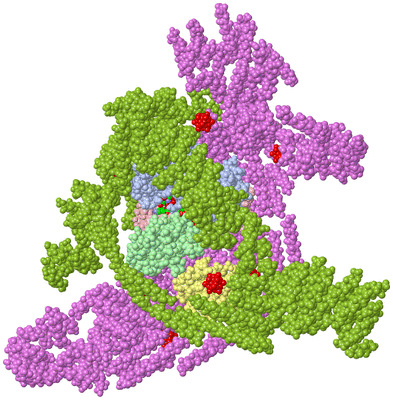 Image Asym./Biol. Unit - sites