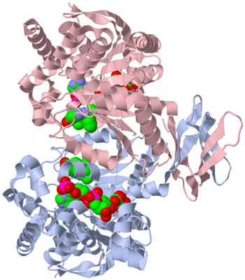 Image Biological Unit 1