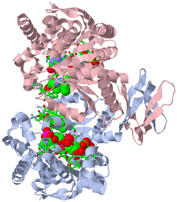 Image Biol. Unit 1 - sites