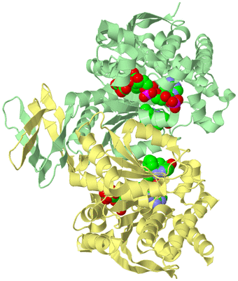 Image Biological Unit 2