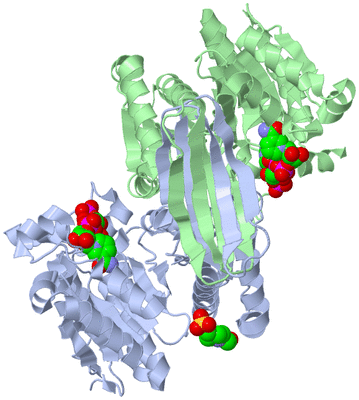 Image Asym./Biol. Unit