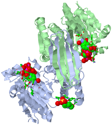 Image Asym./Biol. Unit - sites