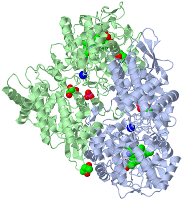 Image Asym./Biol. Unit