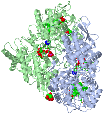 Image Asym./Biol. Unit - sites