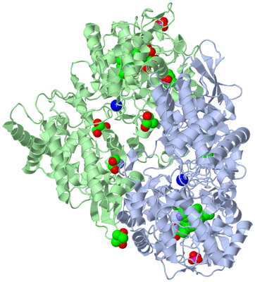 Image Asym./Biol. Unit