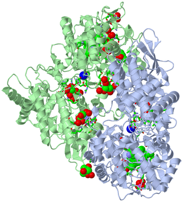 Image Asym./Biol. Unit - sites