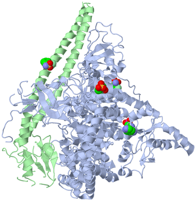 Image Asym./Biol. Unit