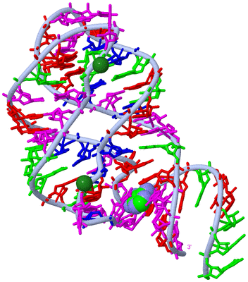 Image Biological Unit 1