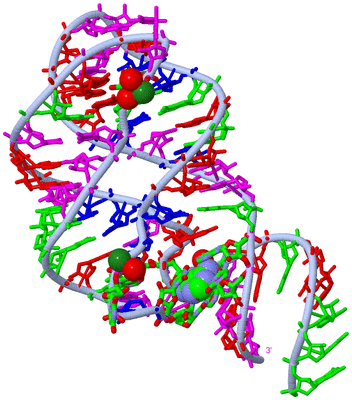 Image Biol. Unit 1 - sites